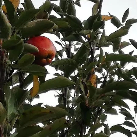 Πανσιόν Vale Do Rodo Residencial