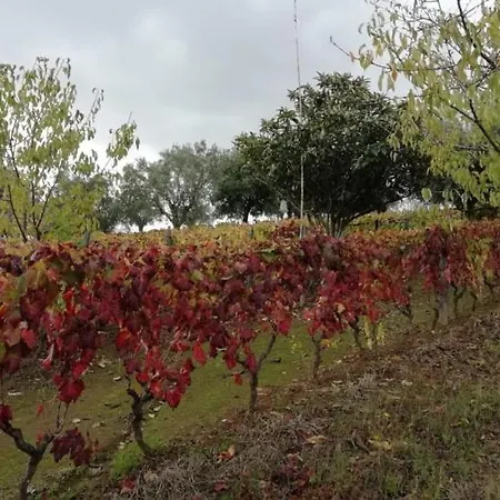 Vale Do Rodo Residencial Peso da Régua