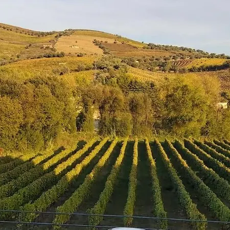 Vale Do Rodo Residencial Konukevi 3*