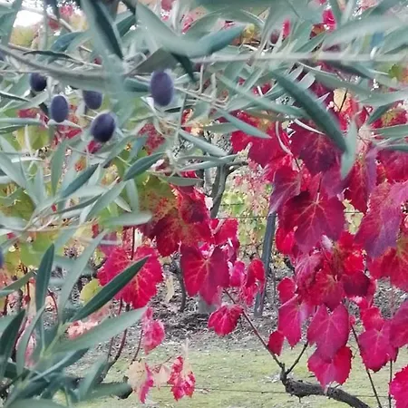 Vale Do Rodo Residencial 3*