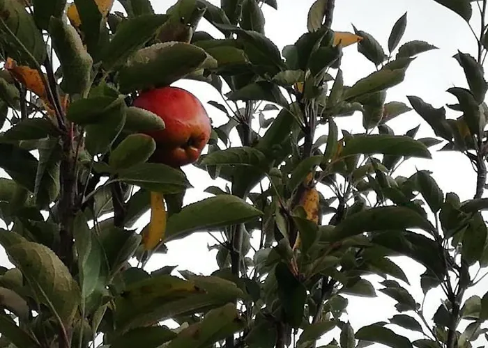 Gasthof Vale Do Rodo Residencial