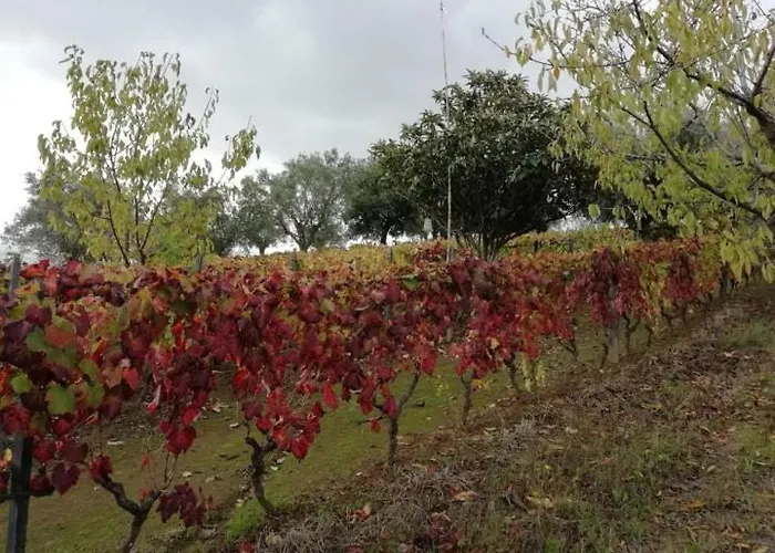 Vale Do Rodo Residencial Peso da Régua