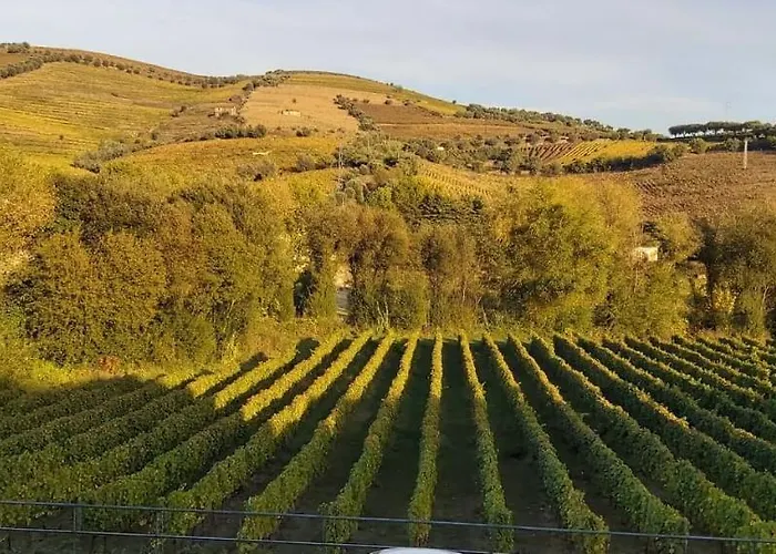 Vale Do Rodo Residencial בית הארחה 3*