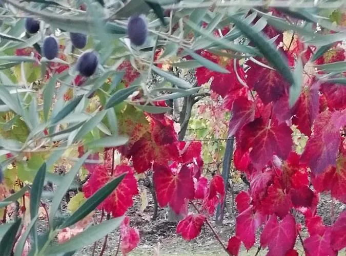 Vale Do Rodo Residencial 3*